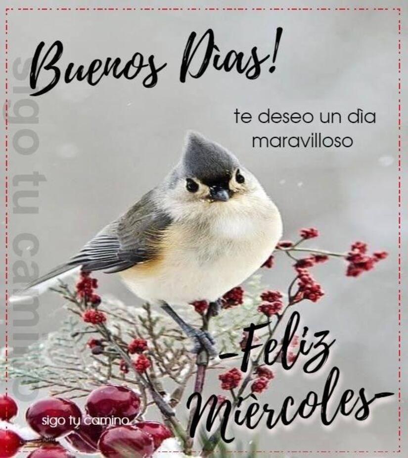 Frases y imágenes hermosas para Feliz Miércoles Pinterest 7