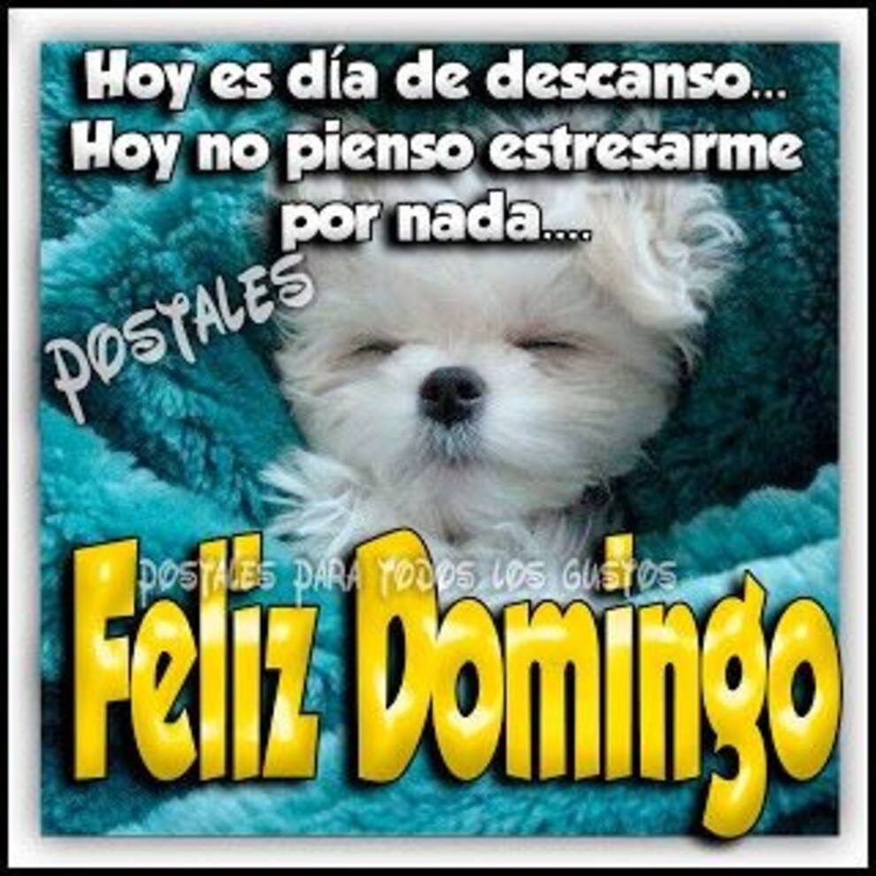 Frases y imágenes nuevas para Feliz Domingo Buen Día 7