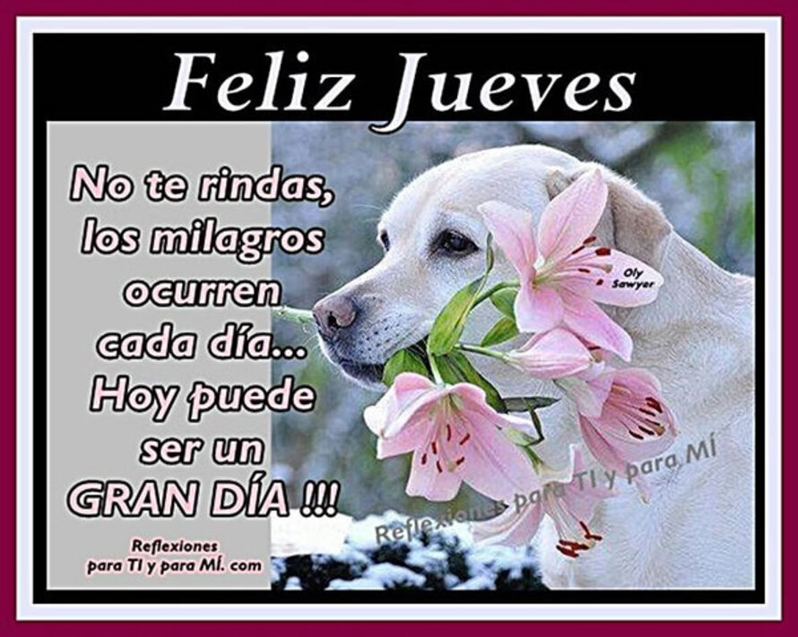 Frases y postales para Buen Día y Feliz Jueves 8