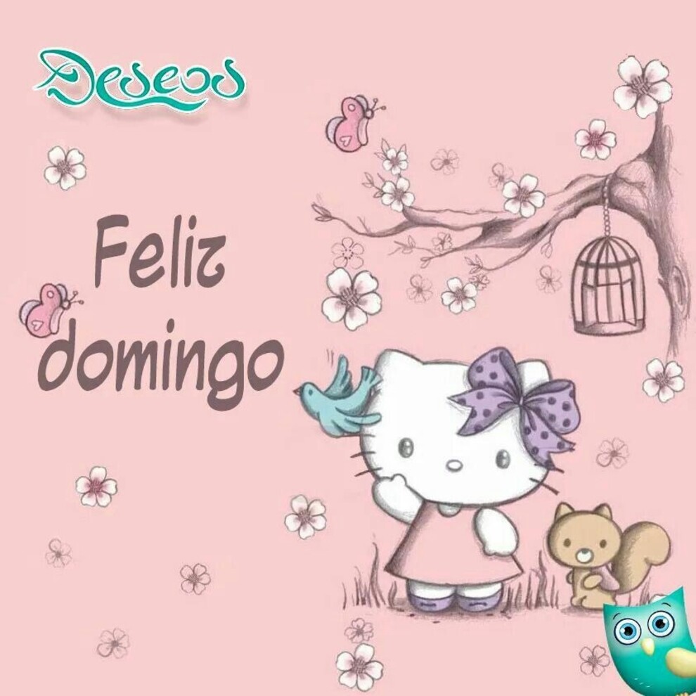 Hello Kitty Feliz Domingo