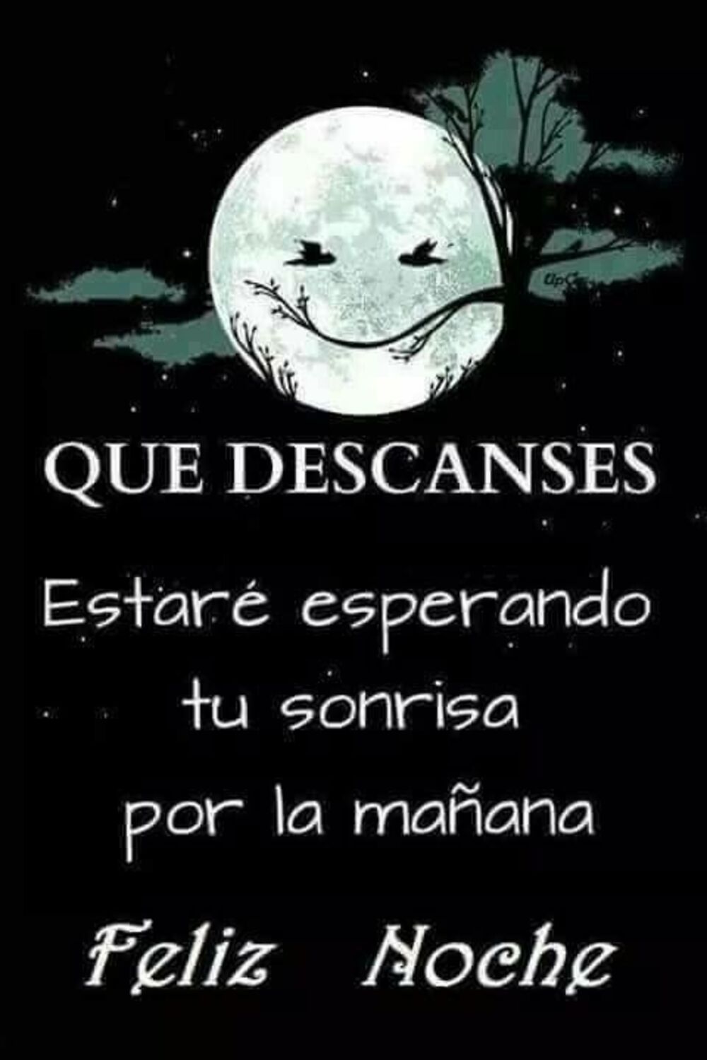 Hermosas imágenes de Buenas Noches Pinterest 10