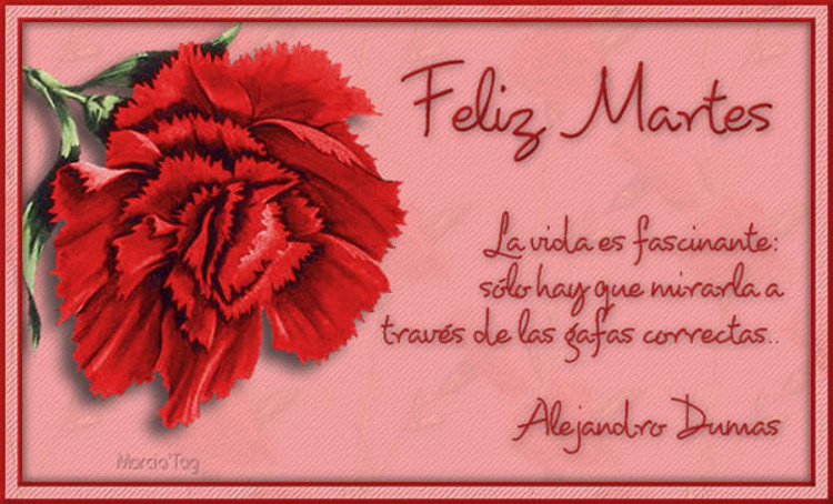 Hermosas imágenes y frases Buenos Días Feliz Martes amigos 12