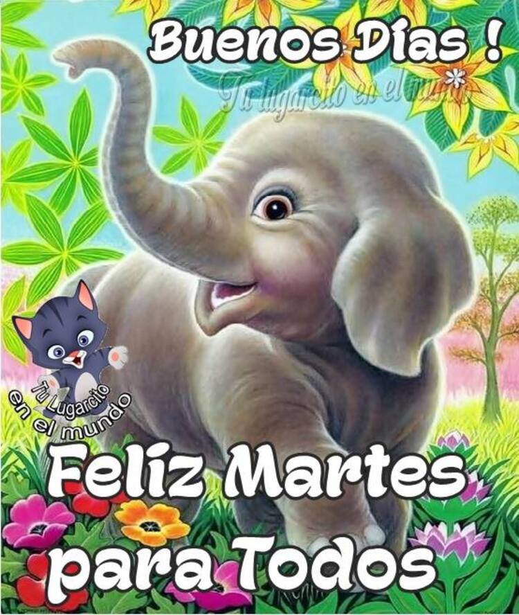 Hermosas imágenes y frases Buenos Días Feliz Martes amigos 14