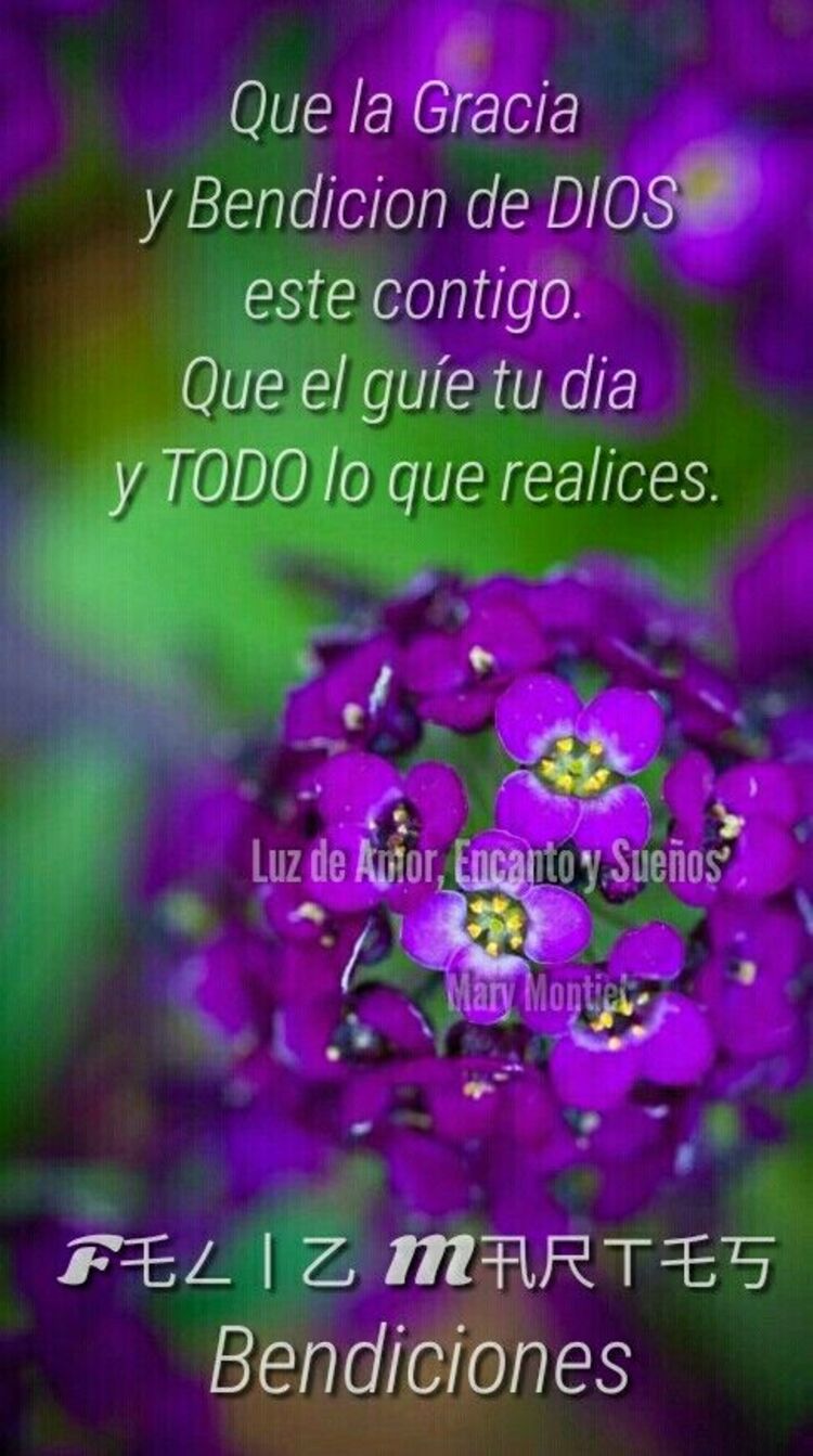 Hermosas imágenes y frases Buenos Días Feliz Martes amigos 15