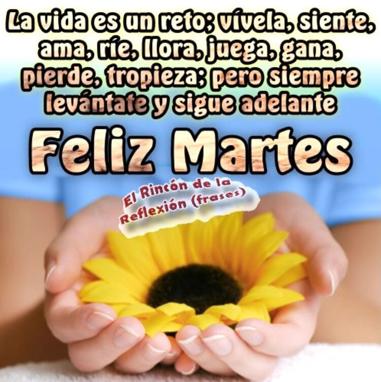 Hermosas imágenes y frases Buenos Días Feliz Martes amigos 2