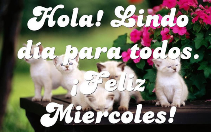 Hola Lindo Día para todos Feliz Miércoles