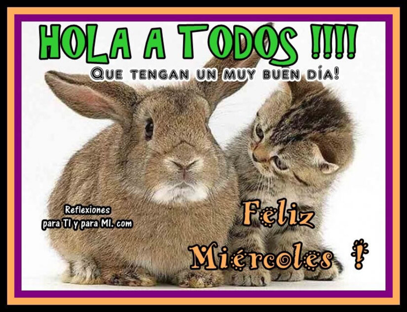 Hola a todos Feliz Miércoles