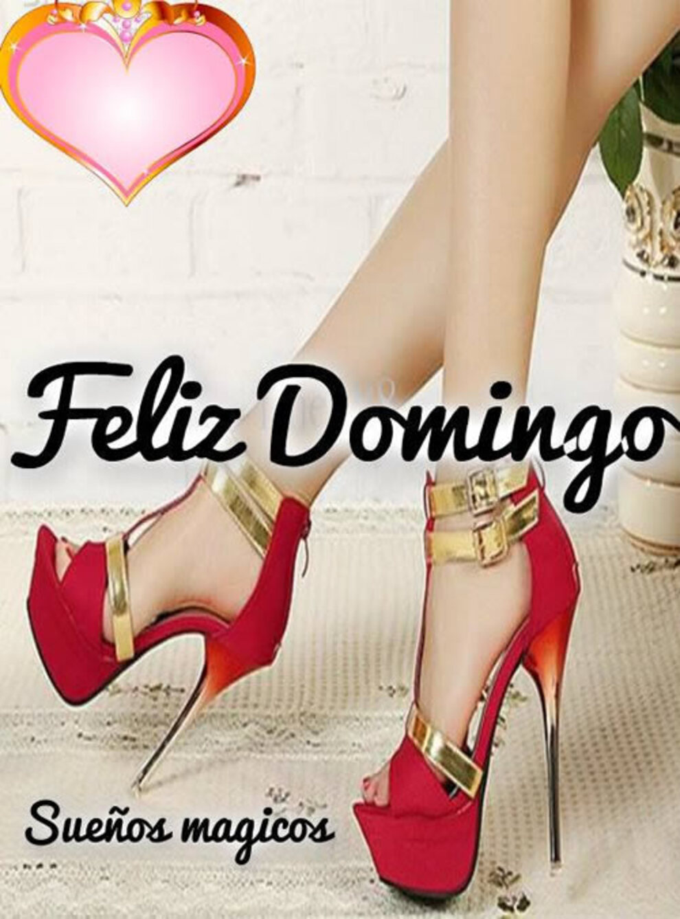 Hola amigos bellos Feliz Domingo para todos 11