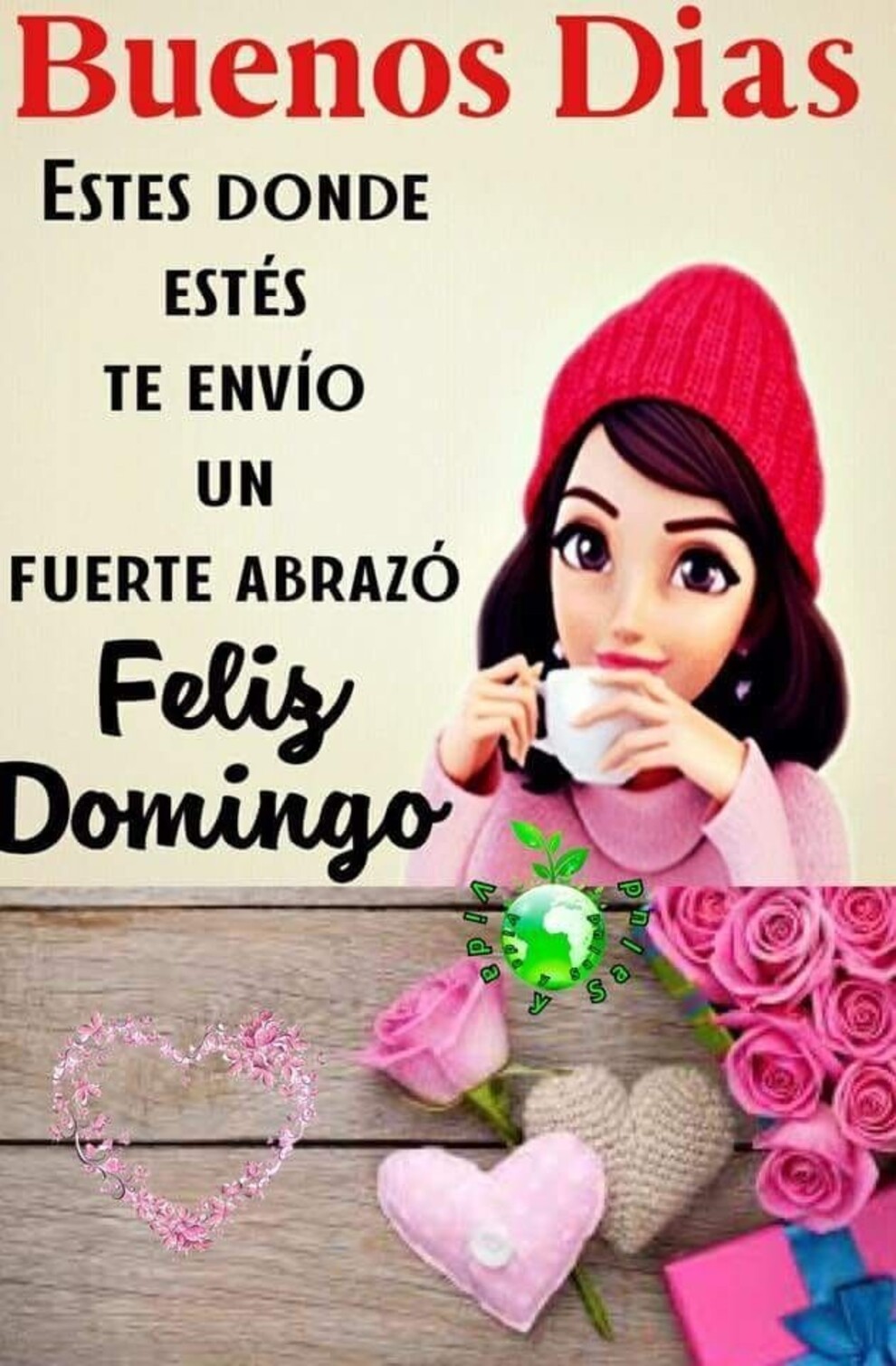 Hola amigos bellos Feliz Domingo para todos 5