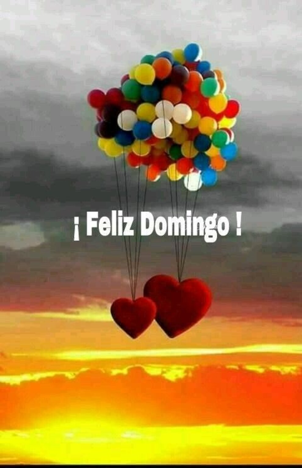 Hola amigos bellos Feliz Domingo para todos 9