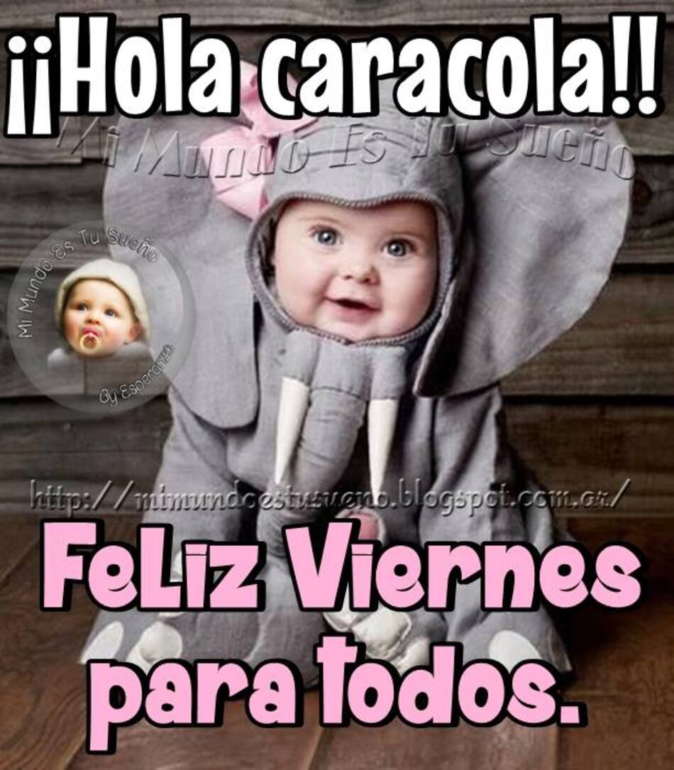 Hola caracola Feliz Viernes para todos