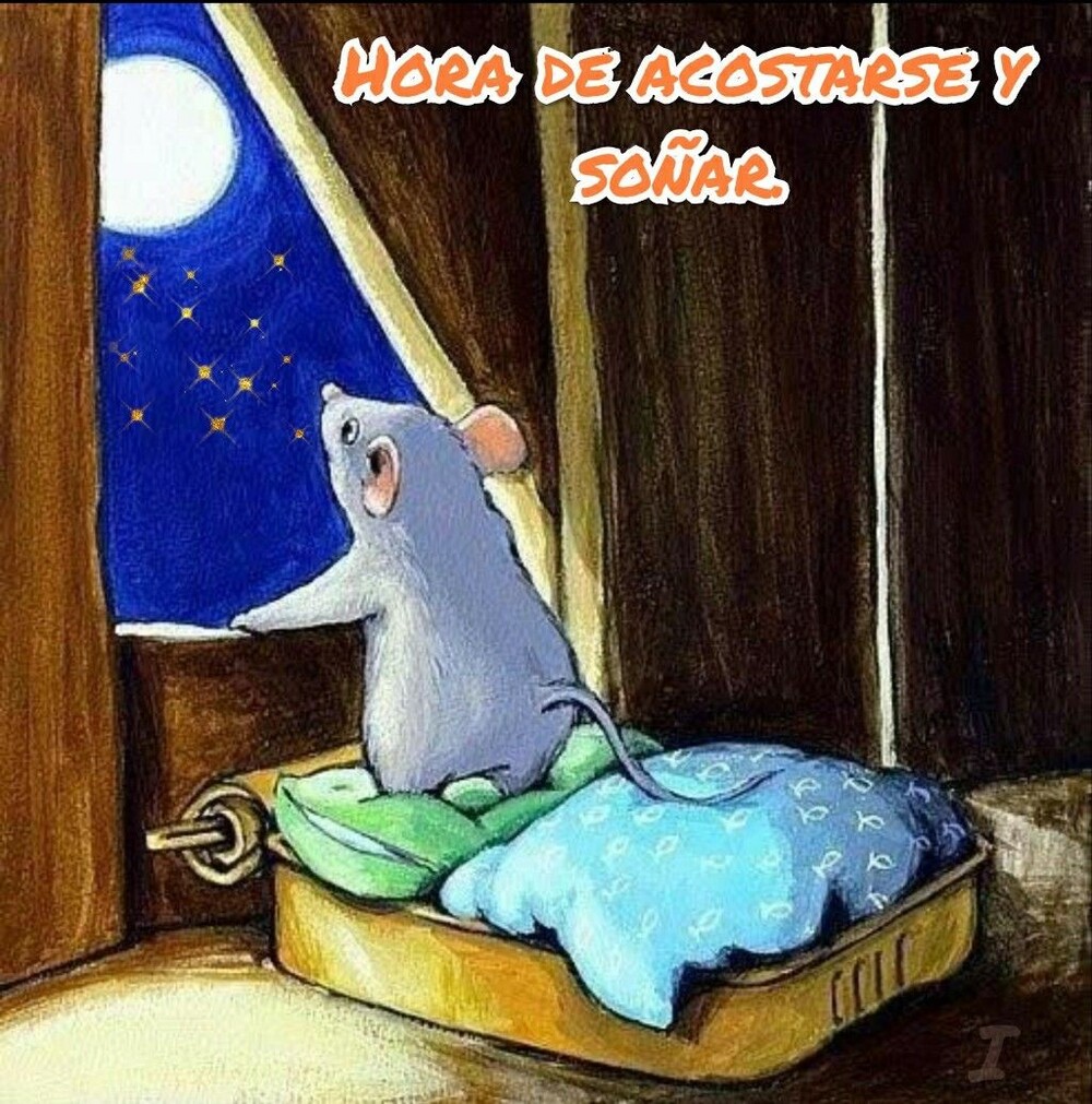 Hola solo pase a decirles Buenas Noches 5