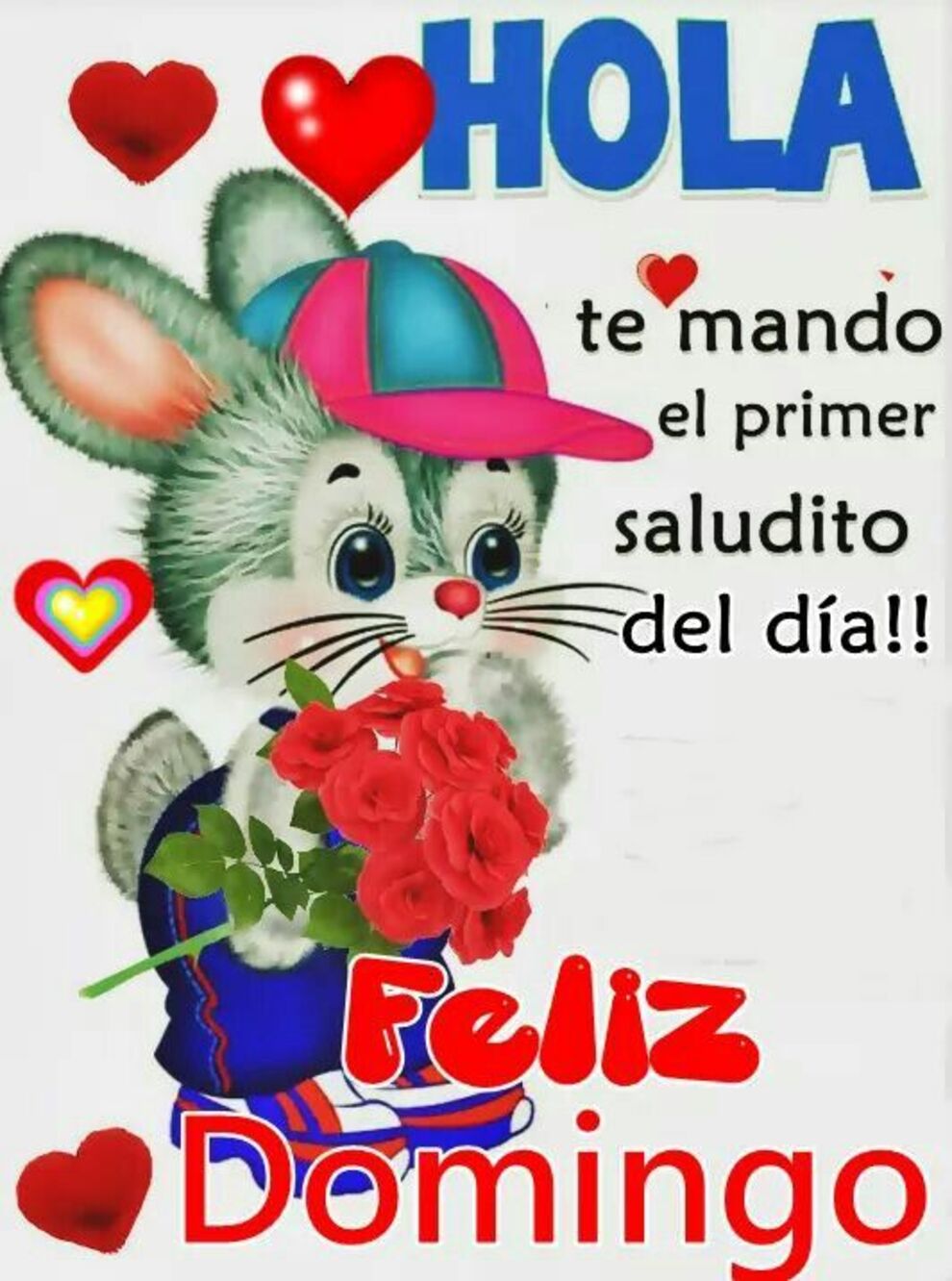 Hola te mando el primer saludito del día Feliz Domingo