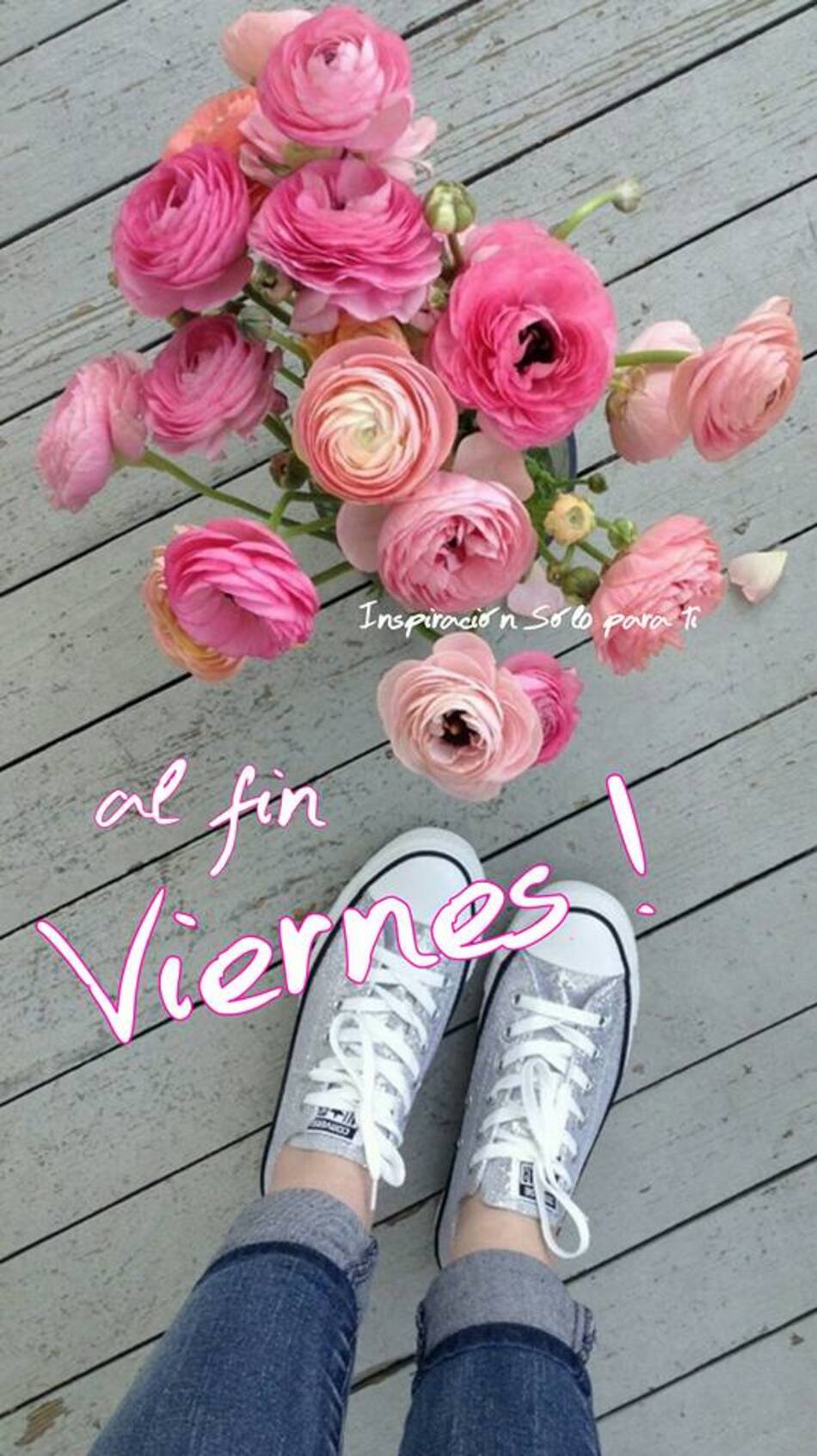 Imágenes de Feliz Viernes para grupos de WhatsApp 4