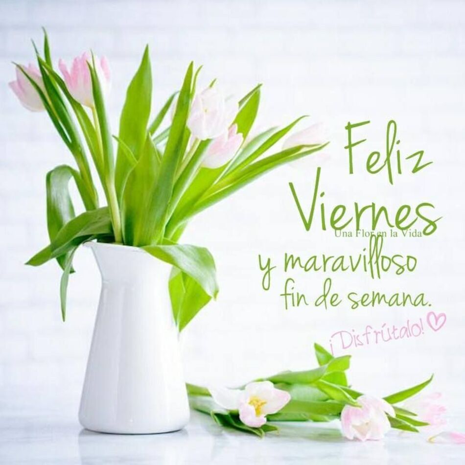 Imágenes de feliz viernes con frases bonitas 10