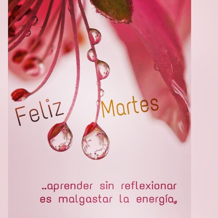 Imágenes para compartir Feliz Martes 2