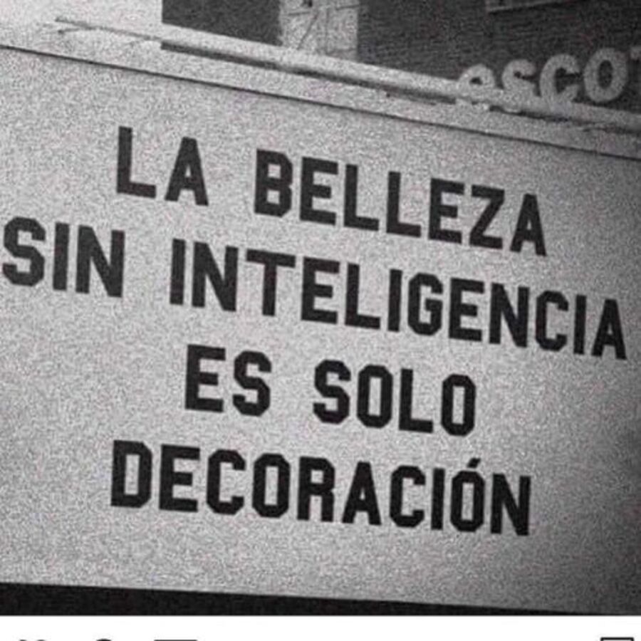 La belleza sin inteligencia es solo decoración