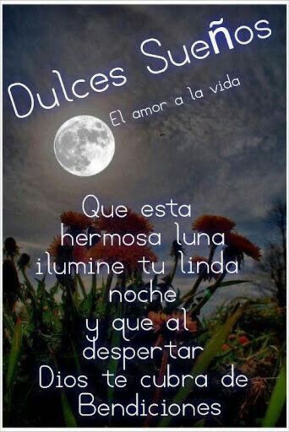 Linda Noche y Felices Sueños 14