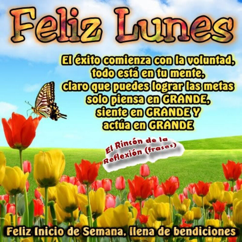 Lindas imágenes Feliz Lunes 4