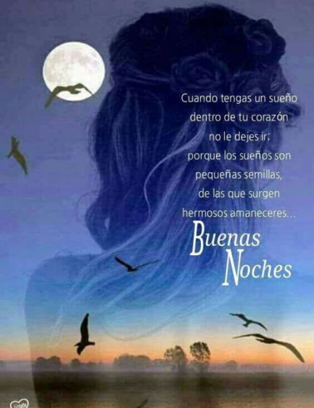 Lindos Sueños Buenas Noches amigos 13