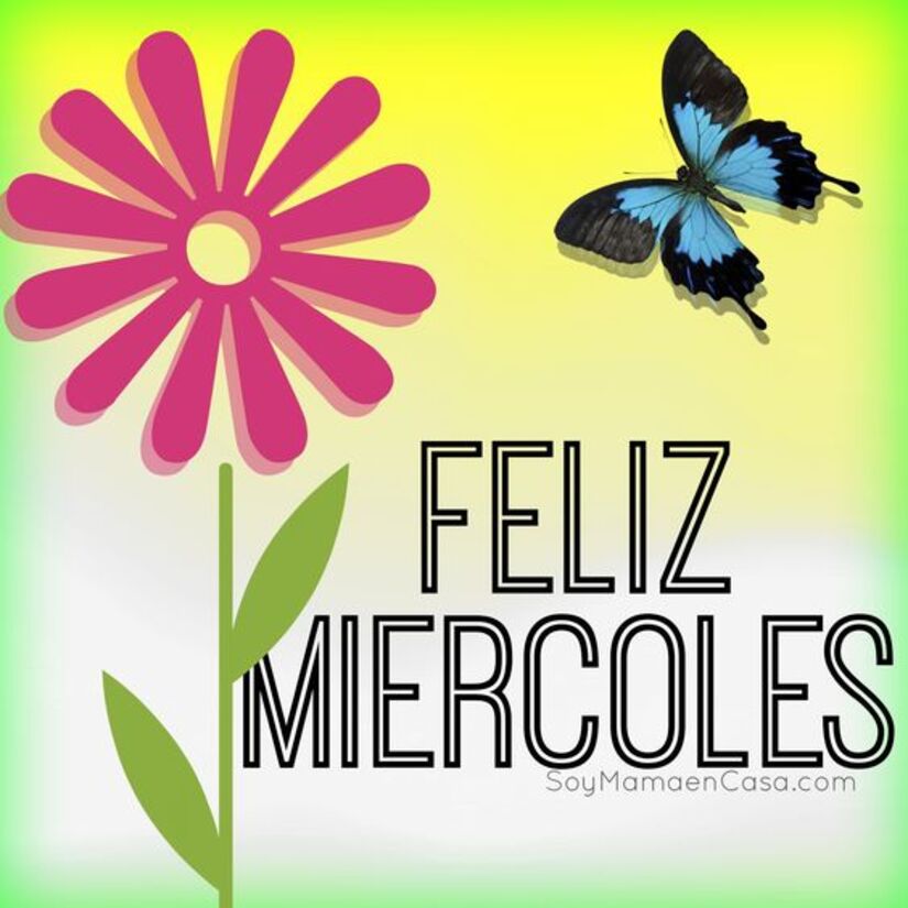 Los mejores imágenes para Feliz Miércoles 10