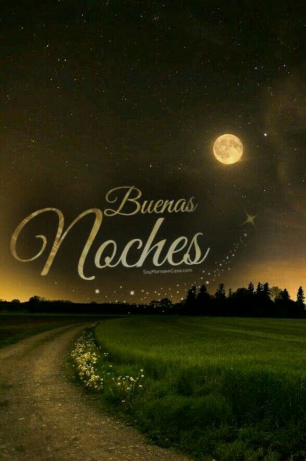 Magicos Sueños Buenas Noches a todos 6