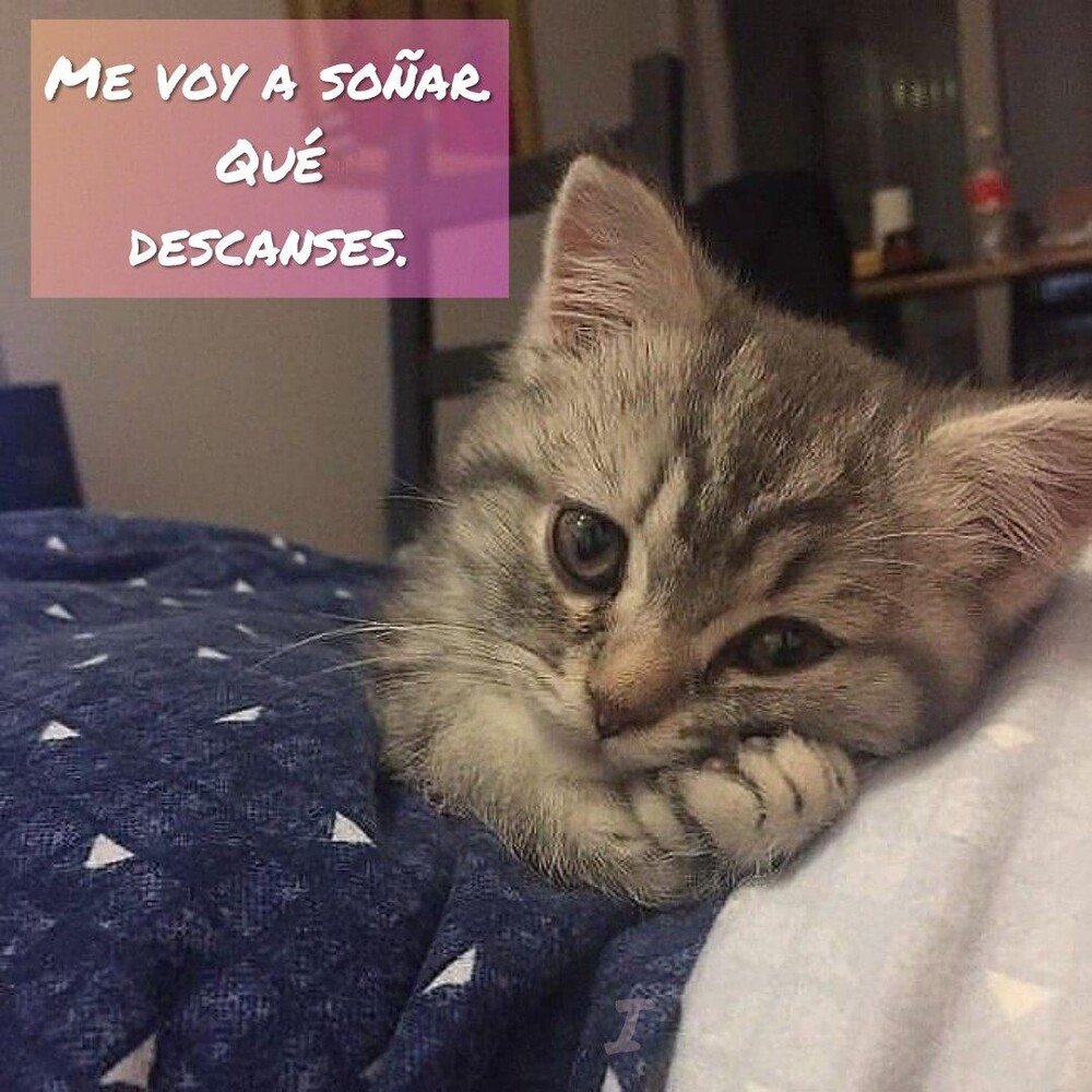 Me voy a soñar qué descanses