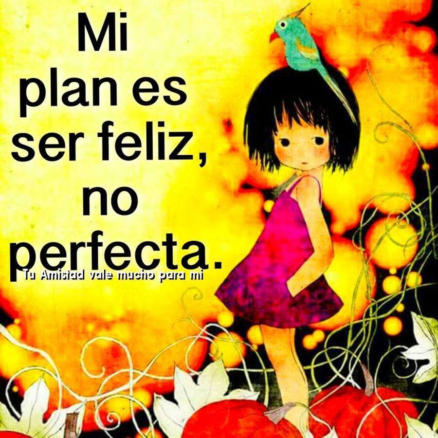 Mi plan es ser feliz no perfecta