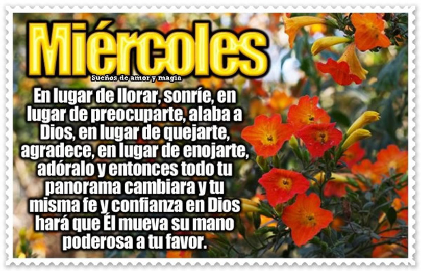 Miércoles 8