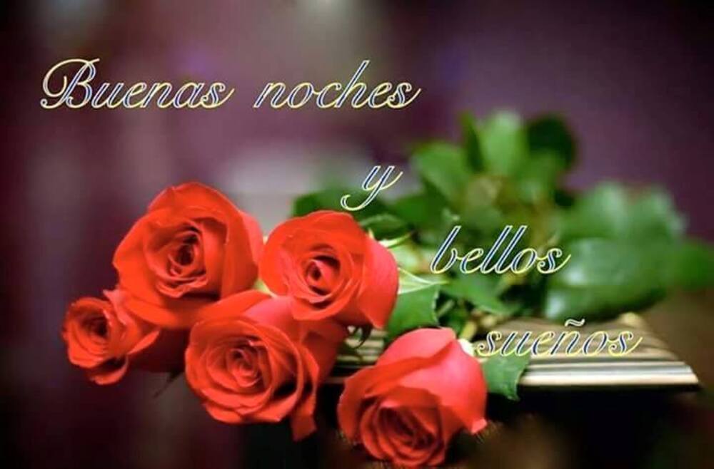 Muy Buenas Noches 2