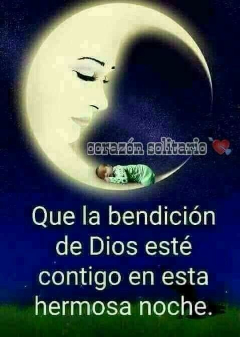 Muy Buenas Noches 8