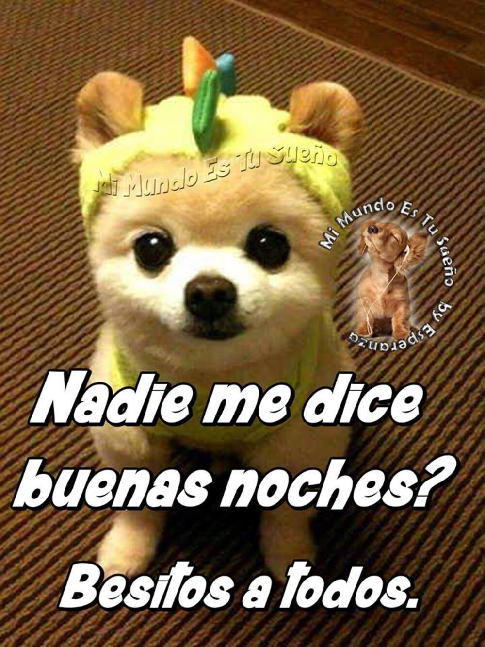 Nadie me dice Buenas Noches besitos a todos