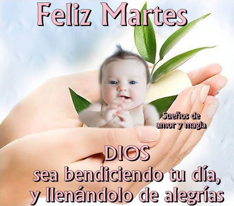 Nuevas imágenes y frases para Feliz Martes a todos 2