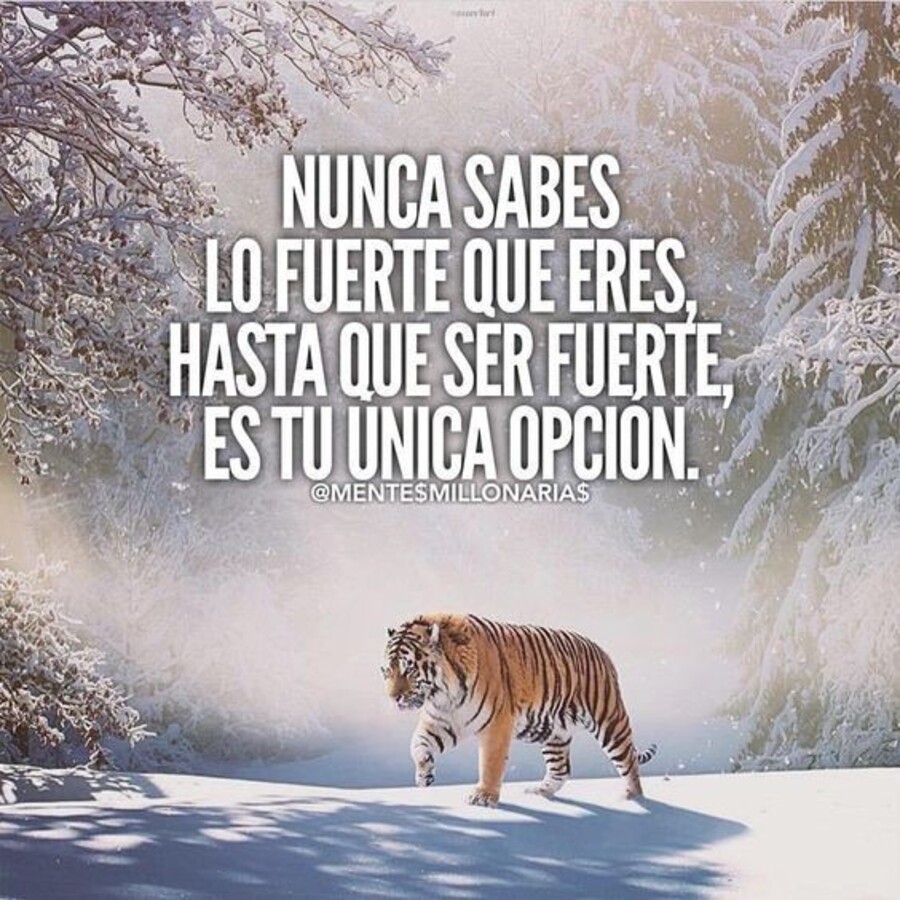 Nunca sabes lo fuerte que eres hasta que ser fuerte es tu unica opcion