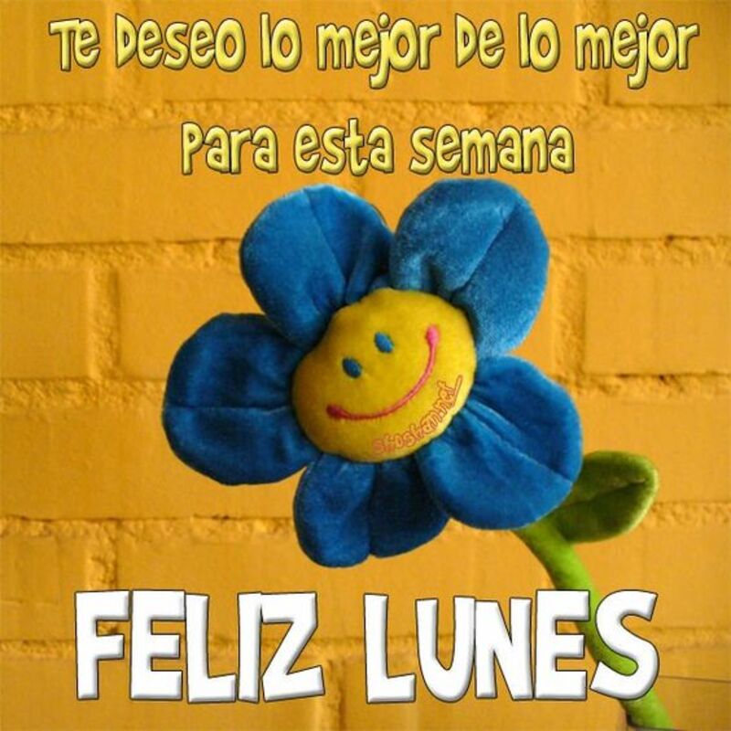 Postales Buenos Días Feliz Lunes 4