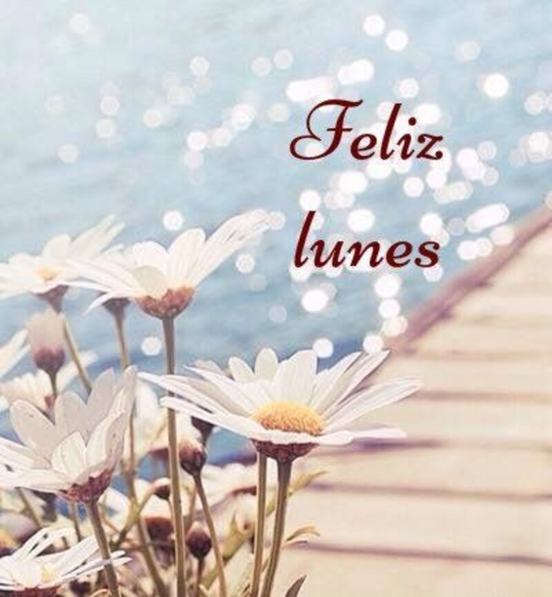 Postales Buenos Días Feliz Lunes 8