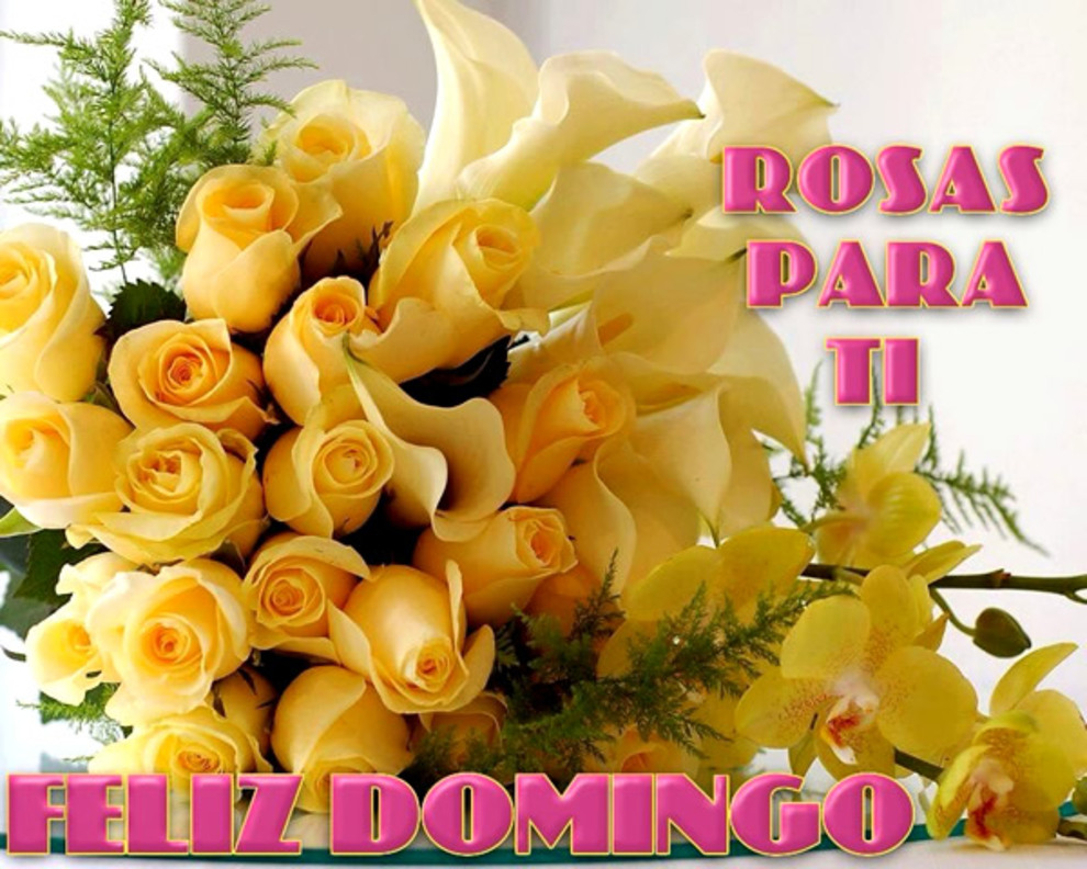 Rosas para ti Feliz Domingo lindas imágenes