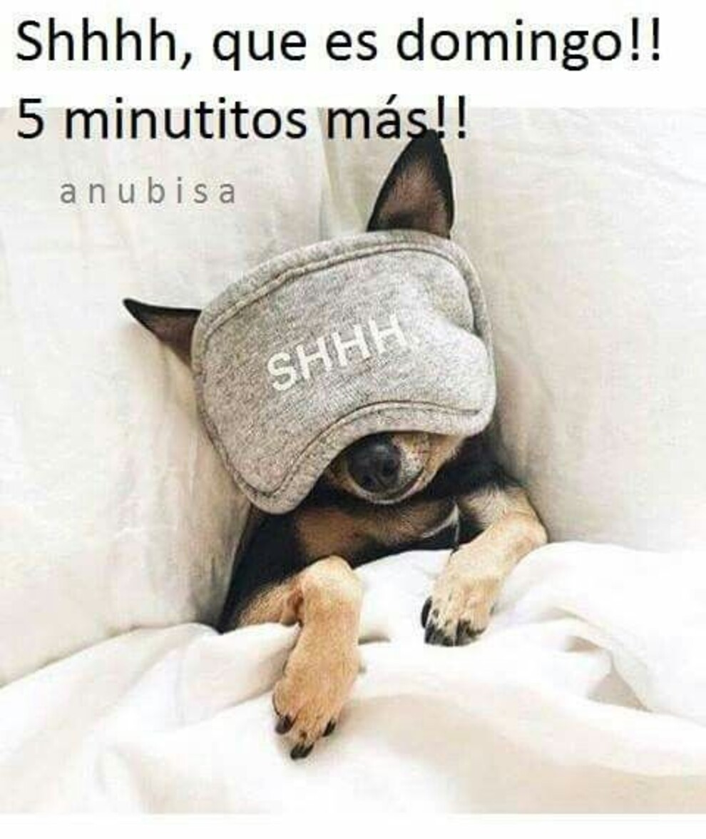 Shhhh que es Domingo 5 minutitos más