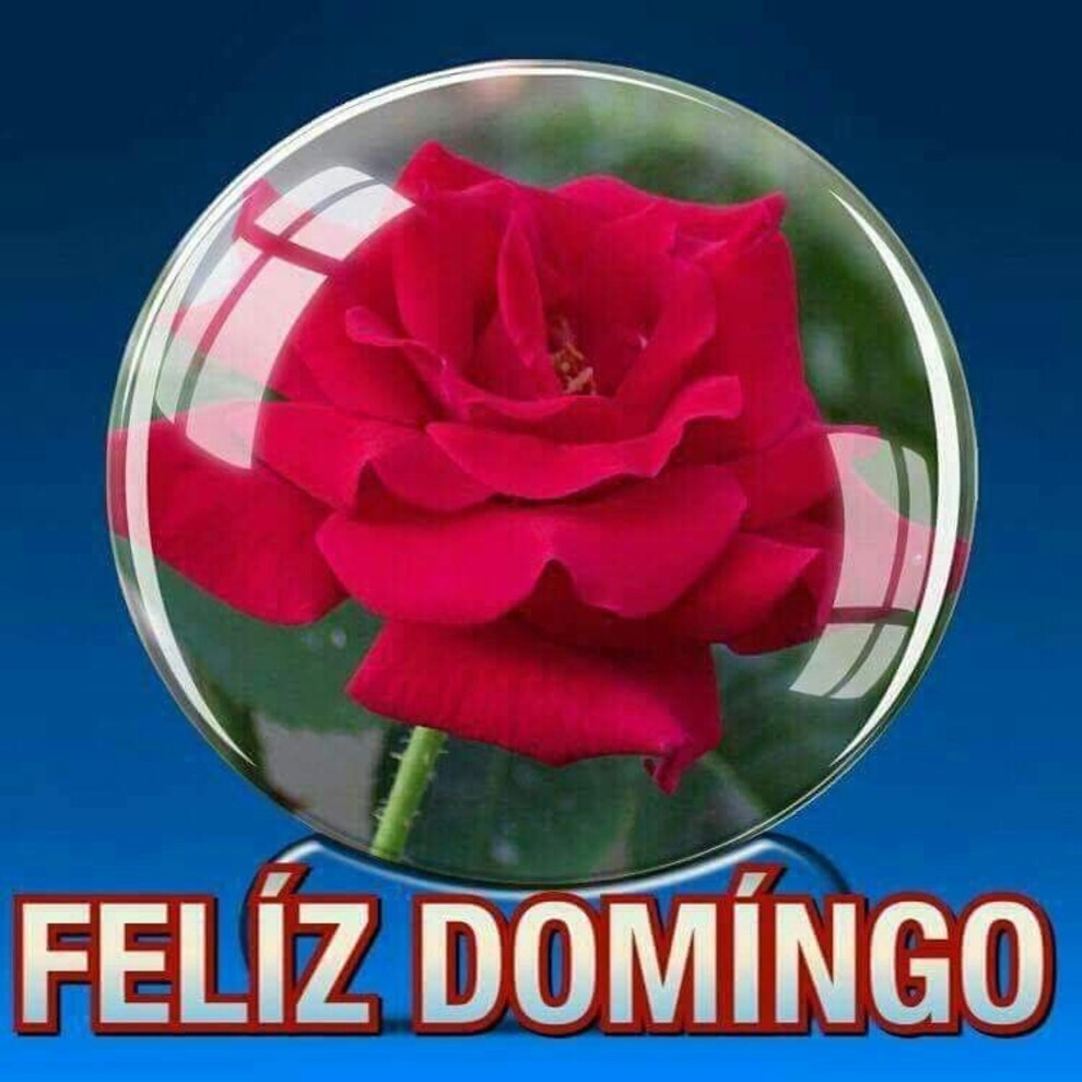 Te deseo un Feliz Domingo 1