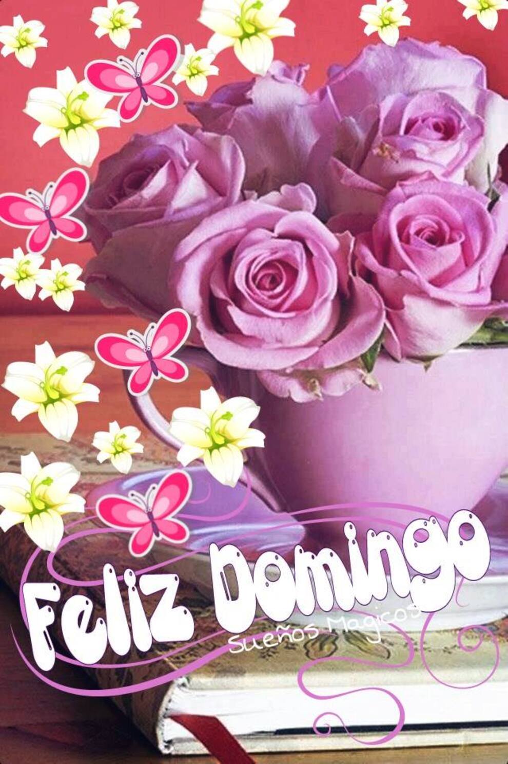 Te deseo un Feliz Domingo 2