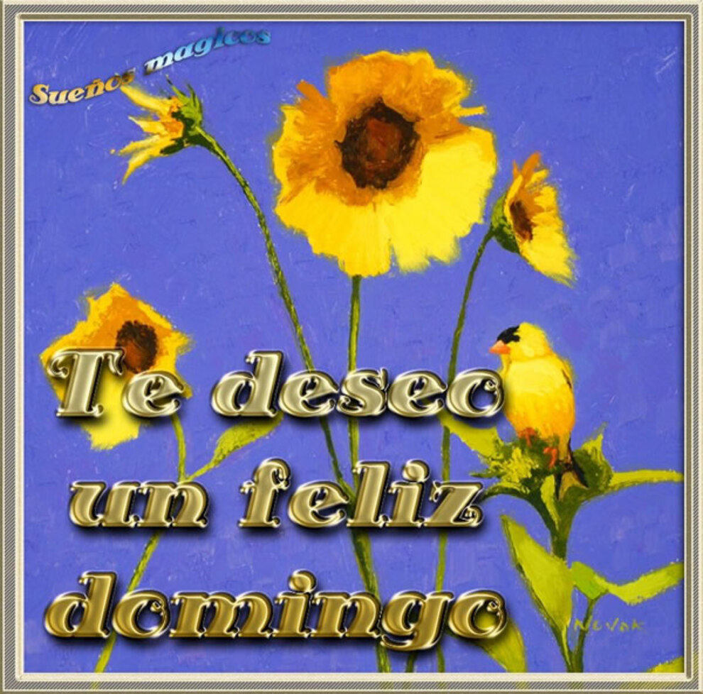 Te deseo un Feliz Domingo 5