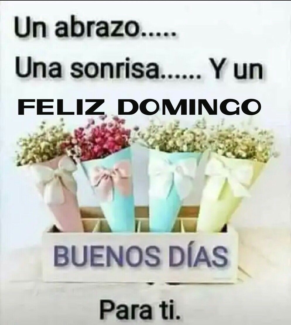 Un abrazo una sonrisa y un Feliz Domingo Buenos Días para ti 3