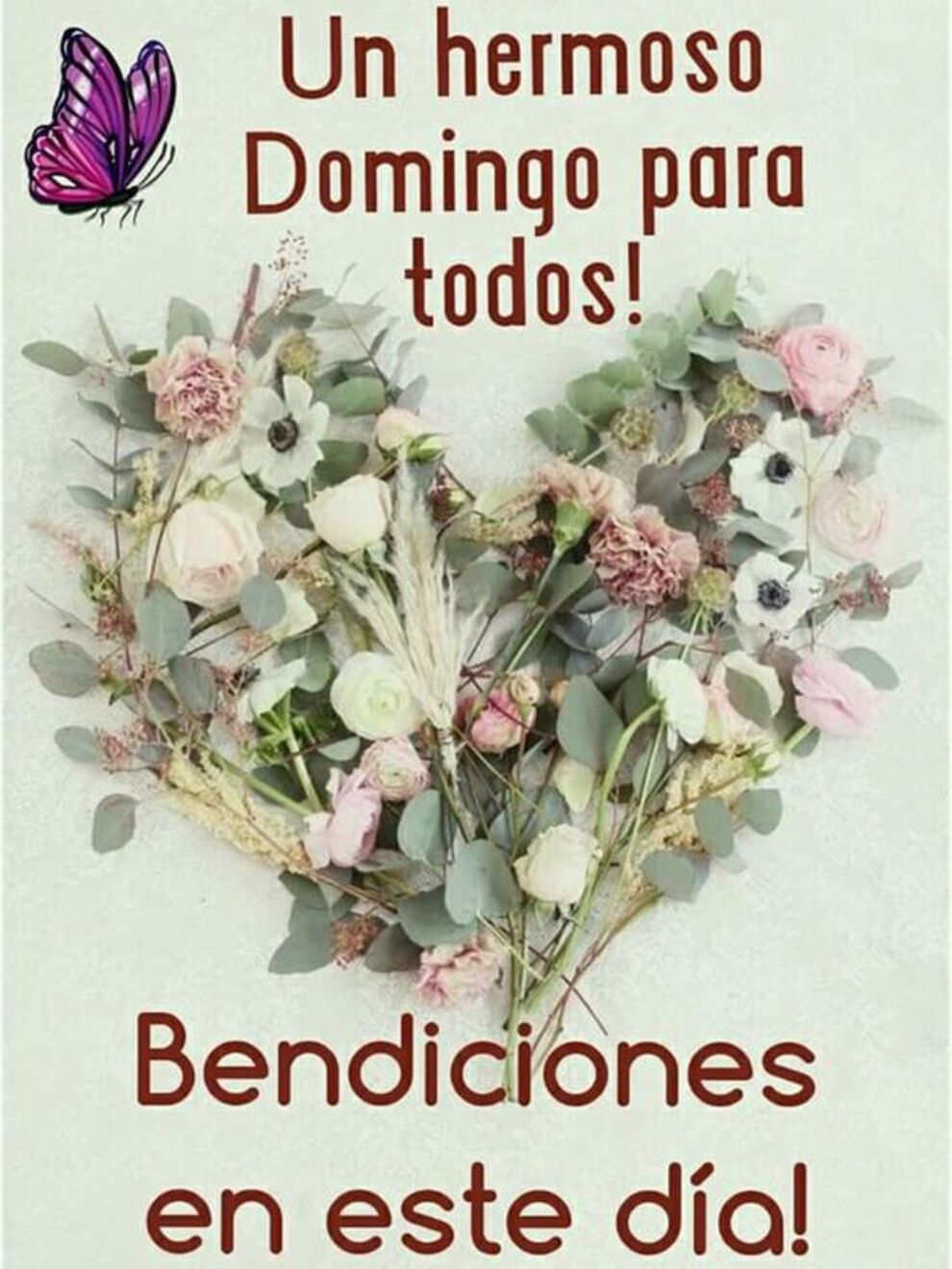 Un hermoso Domingo para todos bendiciones en este día