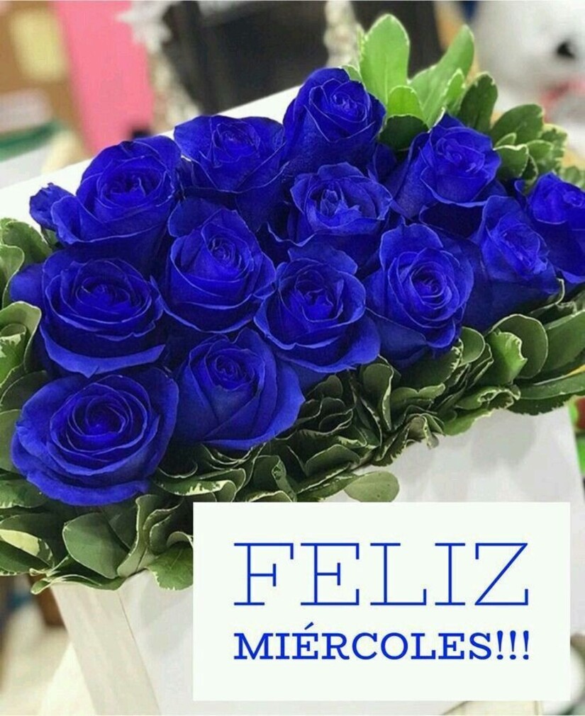 buenos días feliz y bendecido miércoles imágenes 6