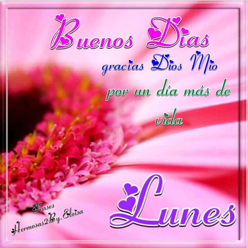 feliz lunes e inicio de semana bendiciones 8