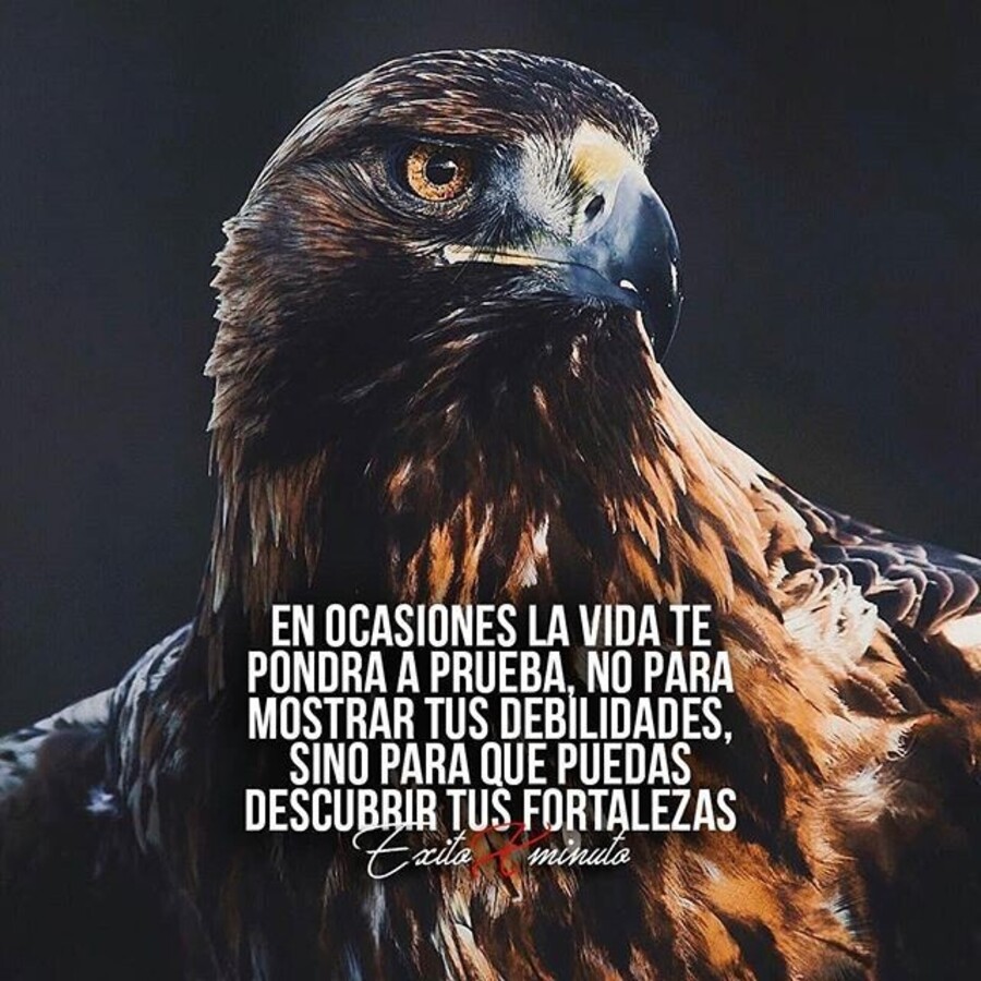 frases con reflexiones nuevas 4