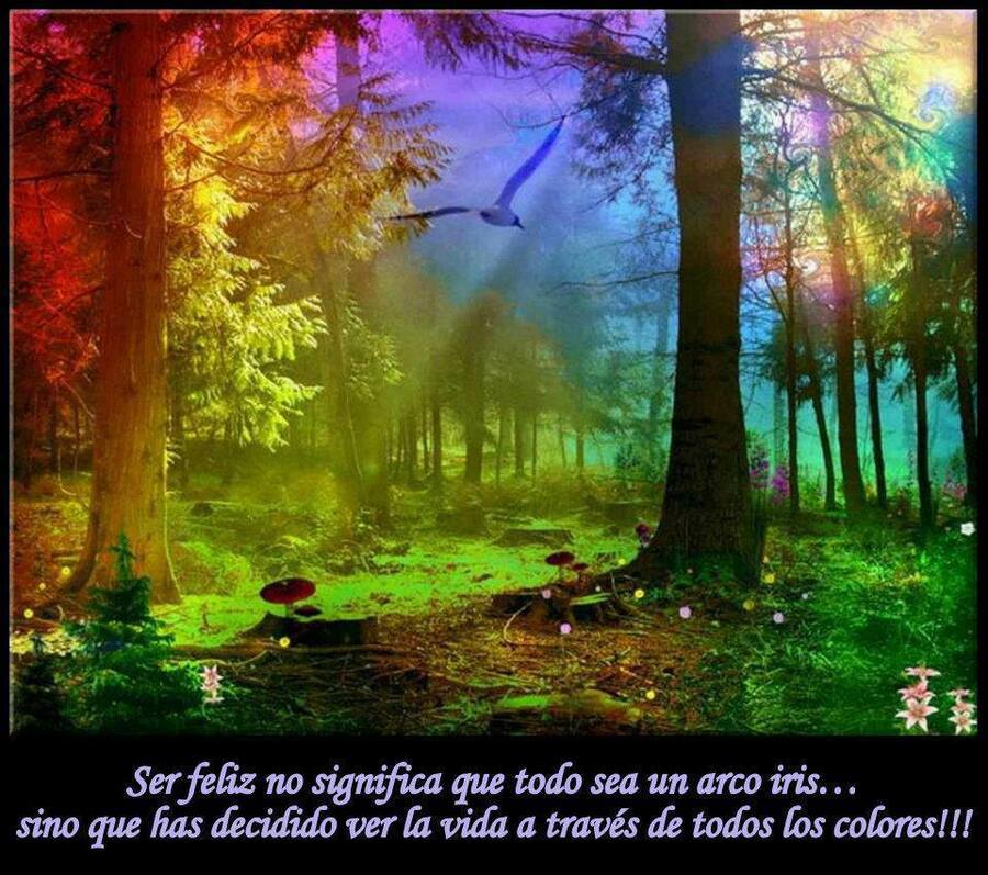 frases reflexiones y pensamientos para compartir 12