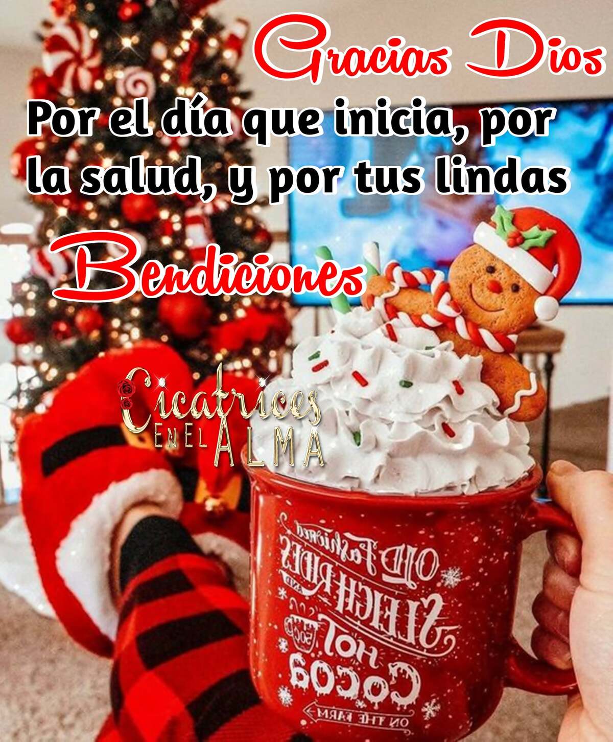 Gracias Dios por el día que inicia por la salud y por tus lindas bendiciones