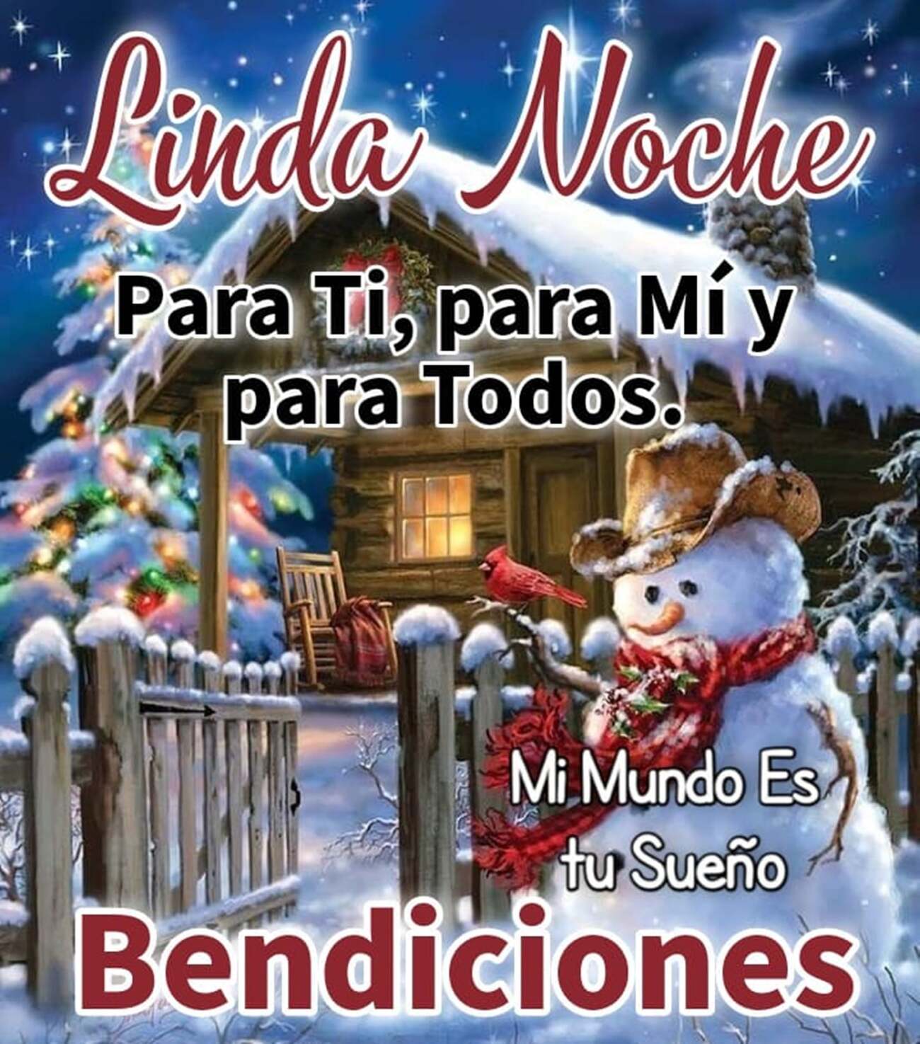 Linda Noche muñeco de nieve