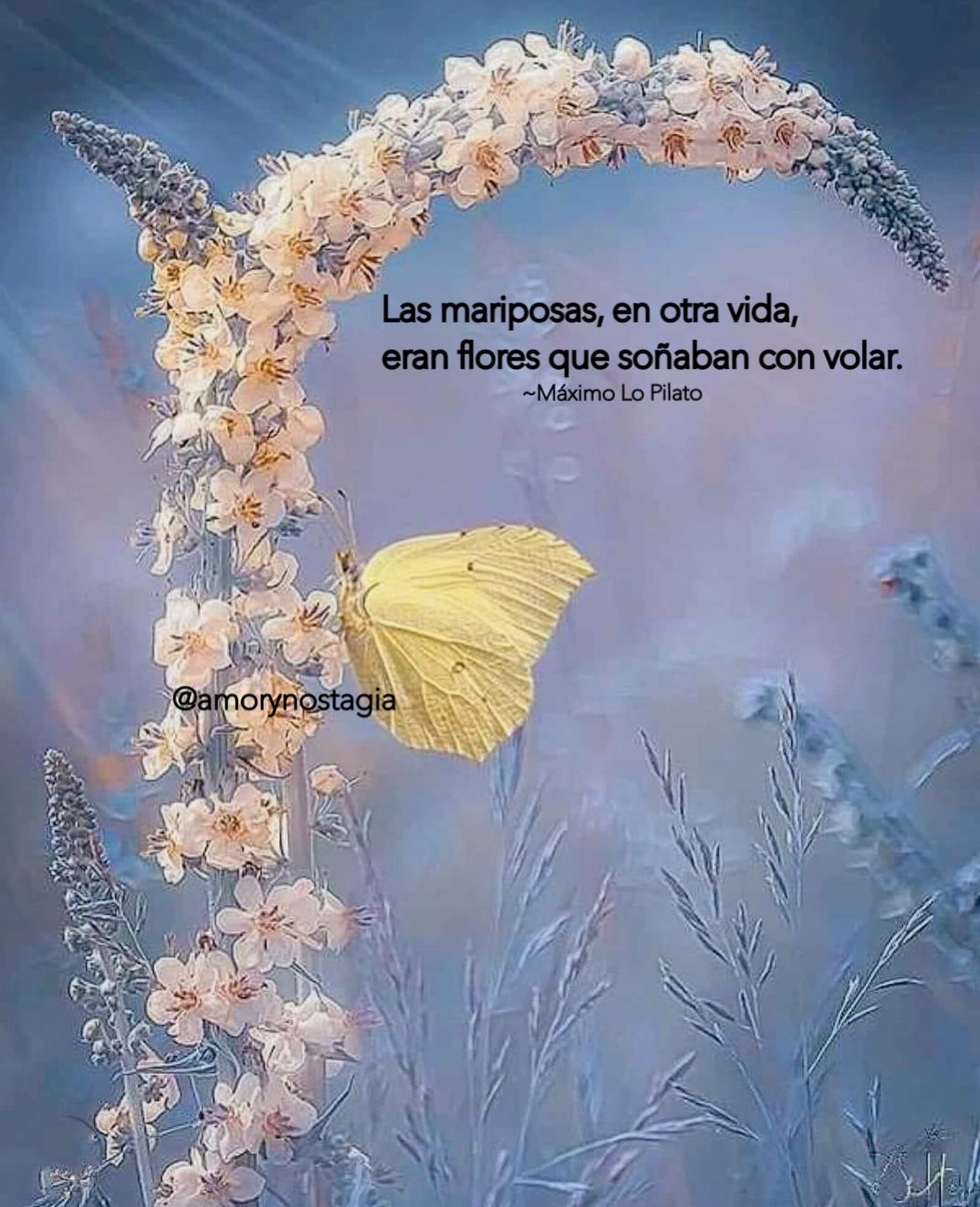 Las mariposas en otra vida eran flores que soñaban con volar